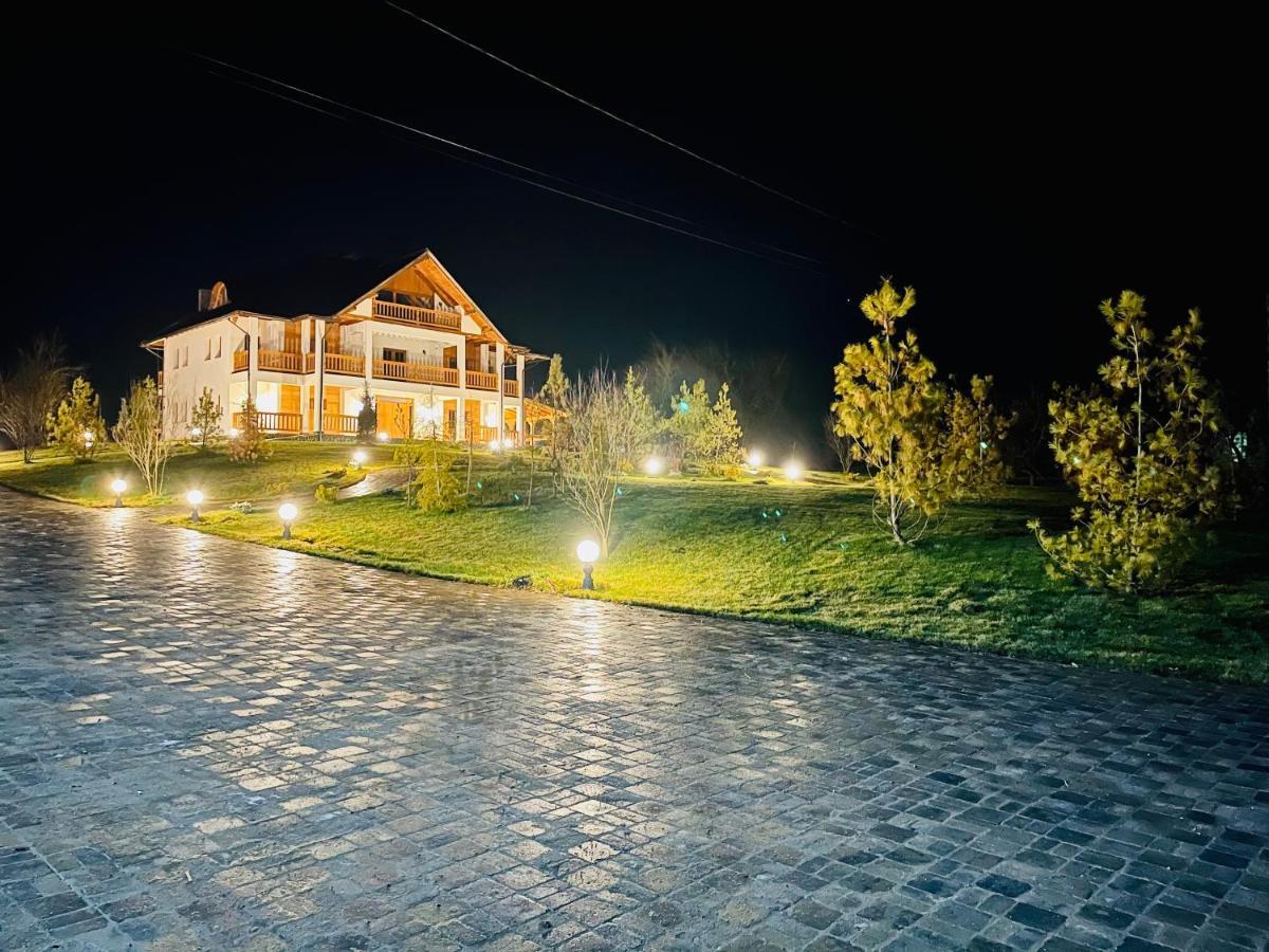 Pensiunea Coronita Vişeu de Sus Dış mekan fotoğraf