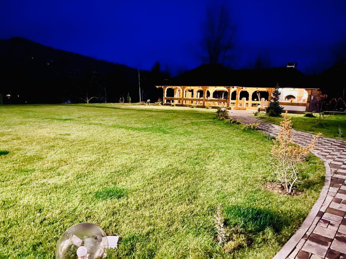 Pensiunea Coronita Vişeu de Sus Dış mekan fotoğraf