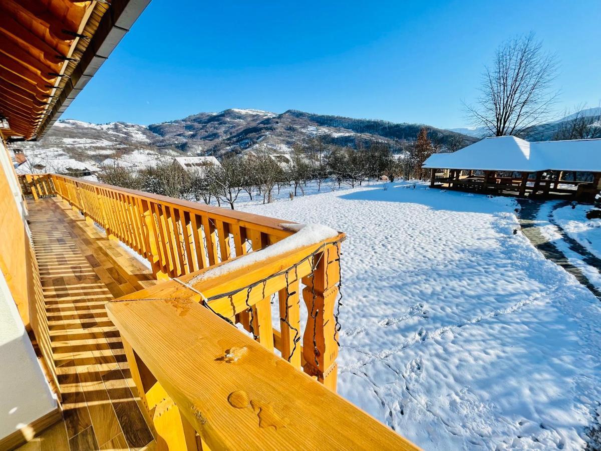 Pensiunea Coronita Vişeu de Sus Oda fotoğraf