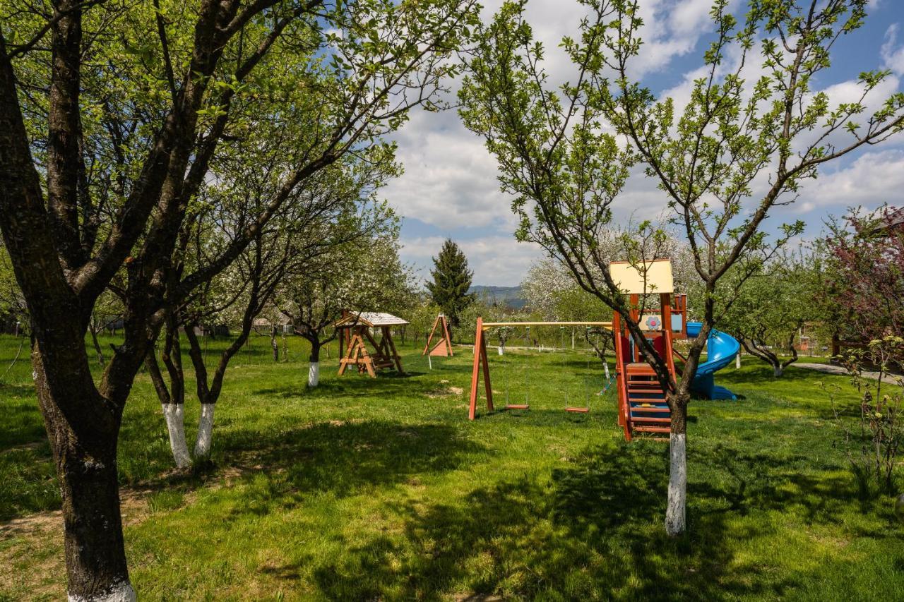 Pensiunea Coronita Vişeu de Sus Dış mekan fotoğraf
