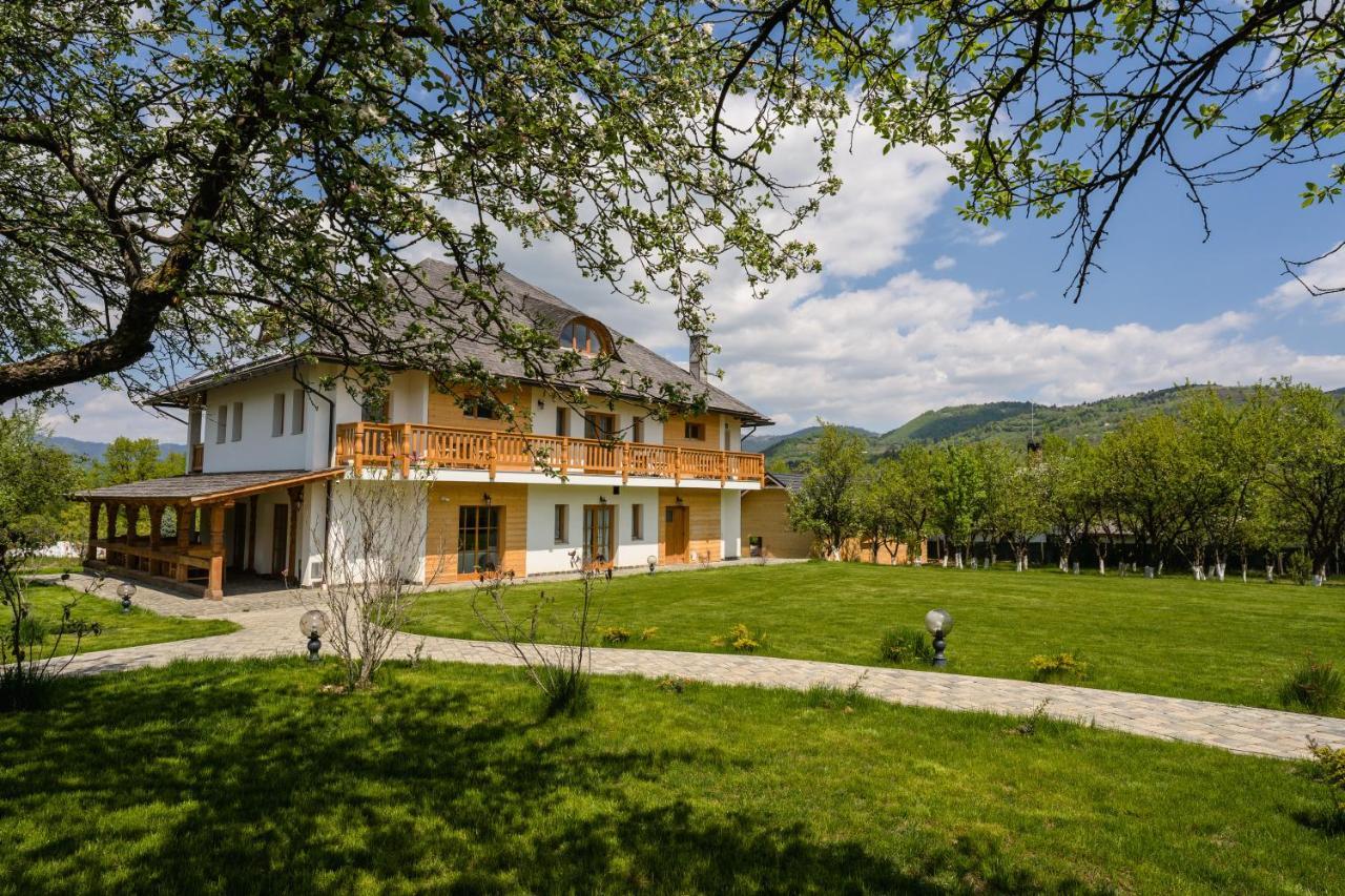 Pensiunea Coronita Vişeu de Sus Dış mekan fotoğraf